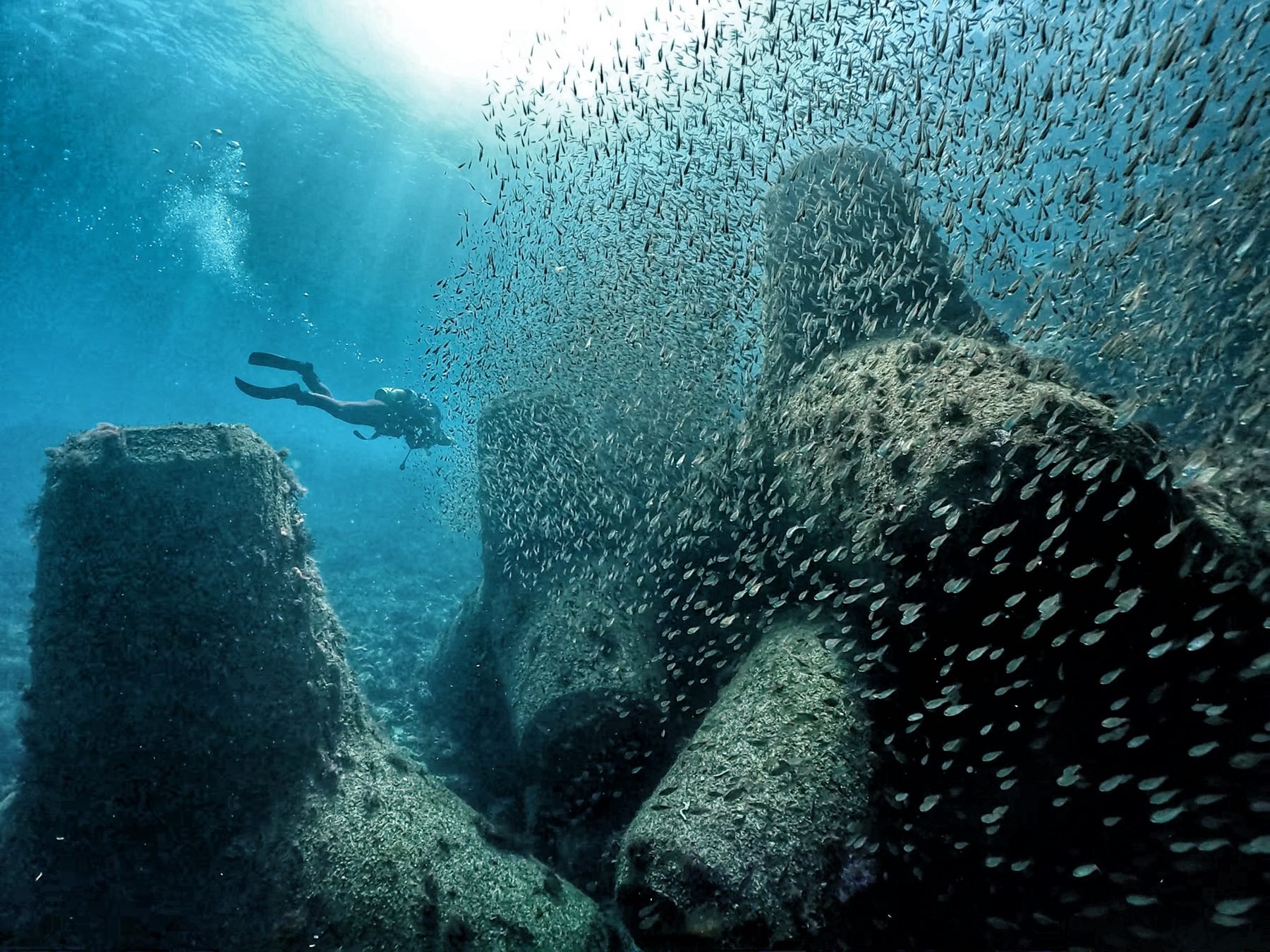 Wreck surrounded by baitfish